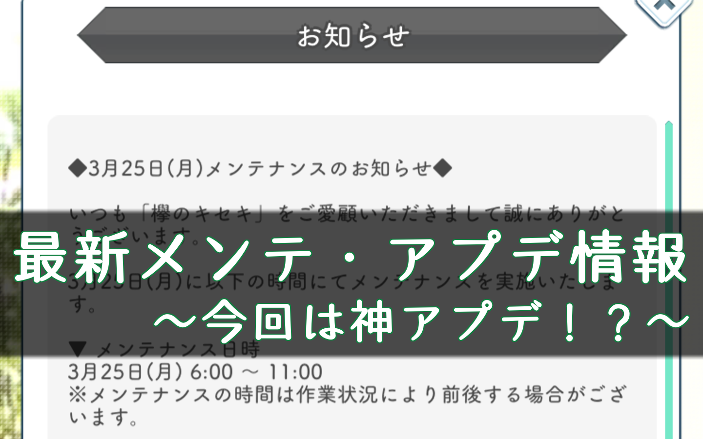 欅のキセキ 通信エラーの原因と対処方法 ケヤキセ 櫻坂46 日向坂46応援サイト